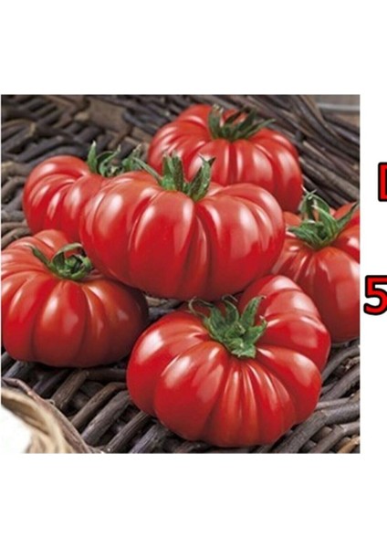 20 Adet Italyan Domates Tohumu