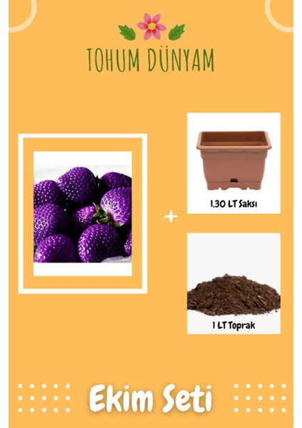 Mor Çilek Tohumu Ekim Seti