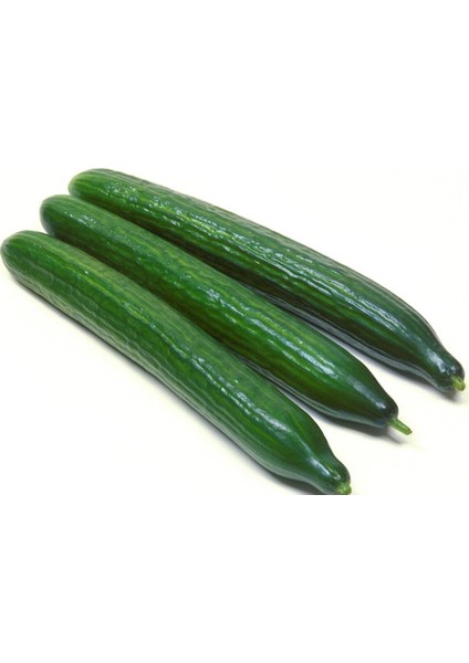 25 Adet Sırık Hıyar Tohumu