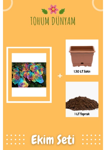 Gökkuşağı Gül Tohumu Ekim Seti