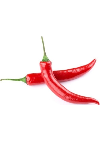 Acı Hatay Biberi Tohumu 20 Adet Tohum Biber Tohum