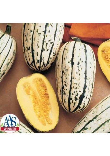 5 Adet Bush Delicata Bal Kabağı Tohumu