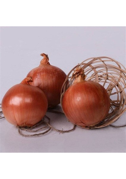 100 Adet Natural Soğan Tohumu