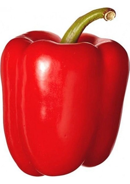 20 Adet Büyük Kırmızı Dolmalık Biber Tohumu