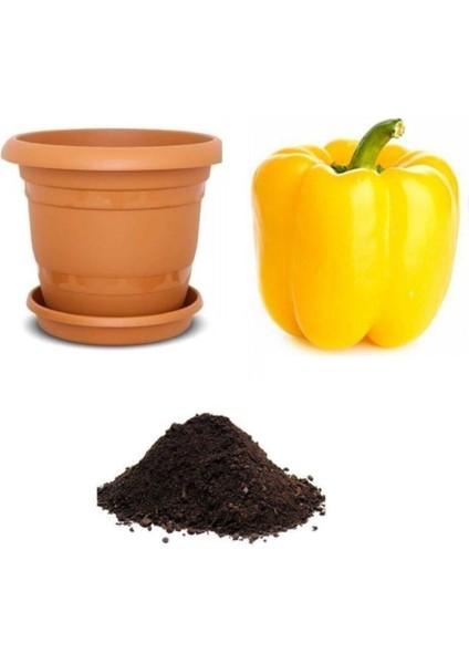 Ithal Dev Sarı Dolmalık Biber Tohumu Ekim Seti
