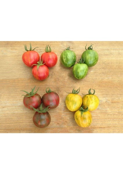 12 Adet 4 Renk Zebra Domates Tohumu