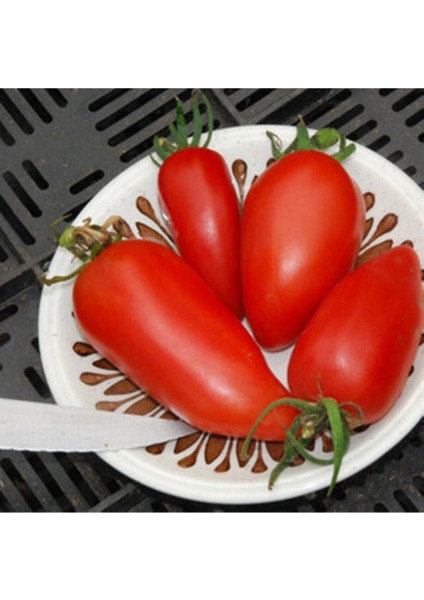 20 Adet Federle Domates Tohumu