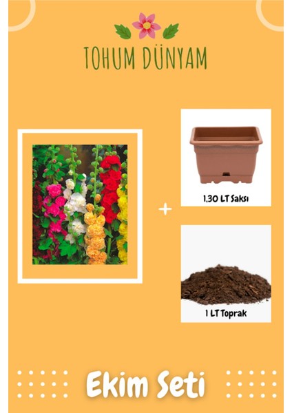 Hatim Çiçeği (Alcea Rosea) Çiçek Tohumu Ekim Seti