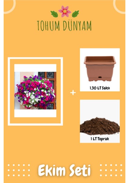 Petunya Balkon Çiçeği Tohumu Ekim Seti
