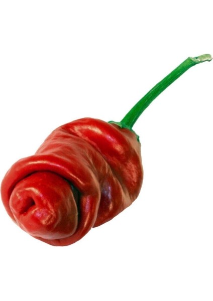 Nadir Ithal Kırmızı Acı Biber Tohumu 10 Adet Tohum