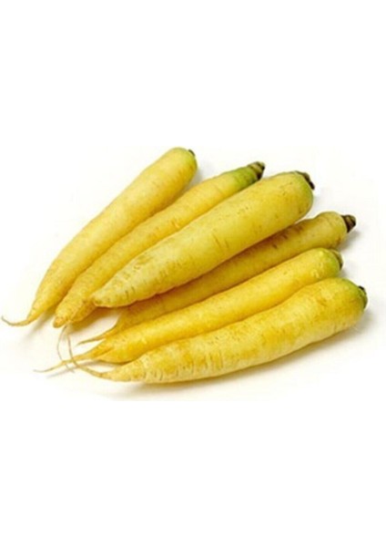 Eko Paket 100 Adet Tohum Nadir Ithal Sarı Havuç Tohumu