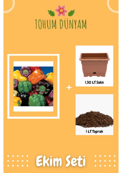 California Biberi Tohumu Ekim Seti