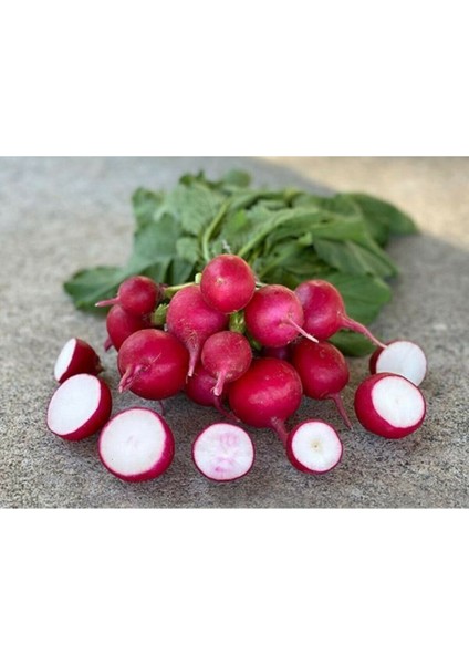 Fındık Turp Tohumu 50 Adet Yerli