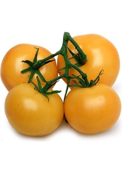 Nadir Ithal Iri Turuncu Domates Tohumu 5 Adet Tohum