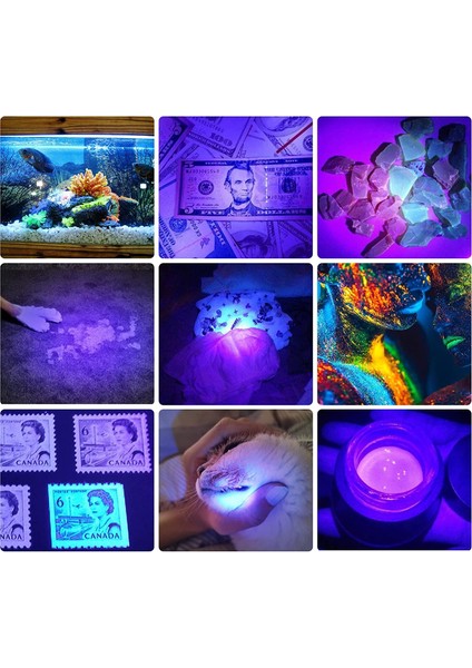 Şarjlı Mor Uv Işık El Feneri 365NM Siyah Filtreli Cam Akrep, Değerli Taş ,evcil Hayvan Pisliği Için indirimleri