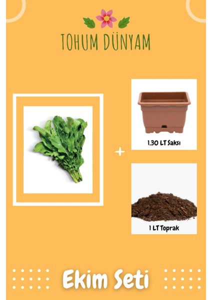 Geleneksel Roka Tohumu Ekim Seti