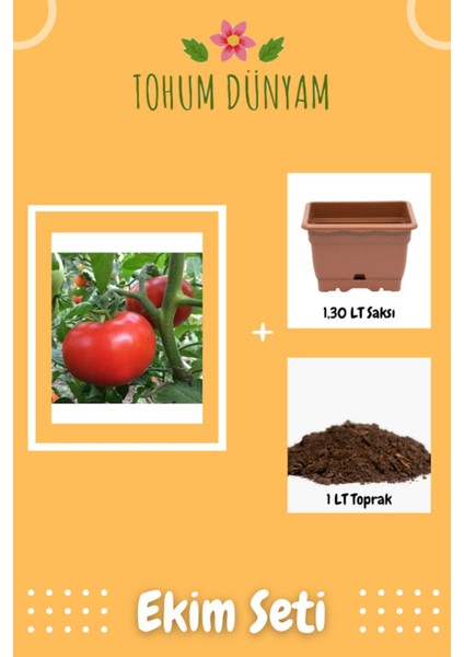Ince Kabuk Domates Tohumu Ekim Seti