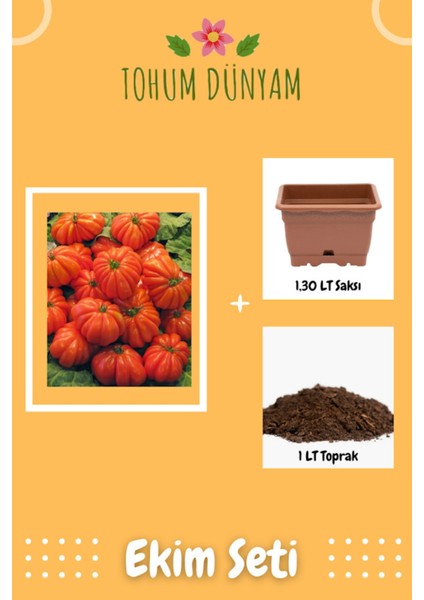 Nadir Ithal Antik Domates Tohumu Ekim Seti