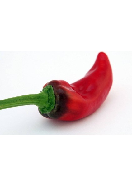 20 Adet Sweet Heat Biber Tohumu