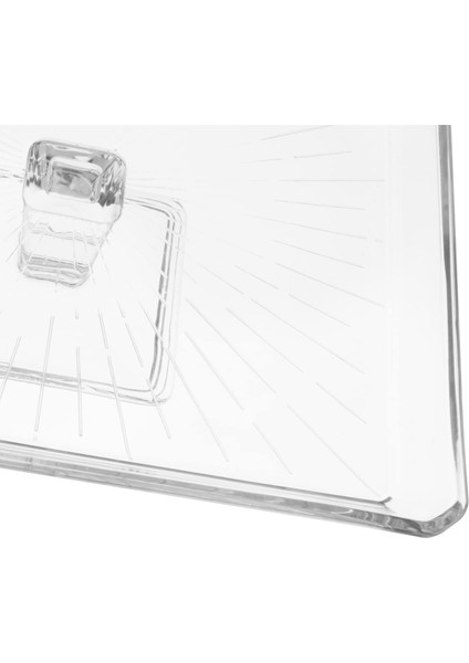 Madlen Crystallin Ayaklı Kare Servis Tabağı 24 cm