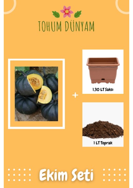 Japon Siyah Bal Kabağı Tohumu Ekim Seti