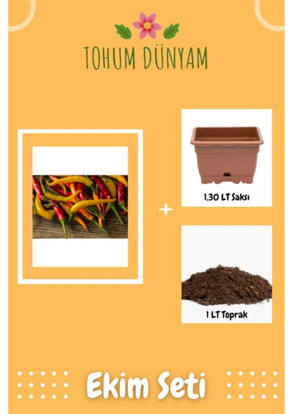 Karışık Acı Biber Tohumu Ekim Seti
