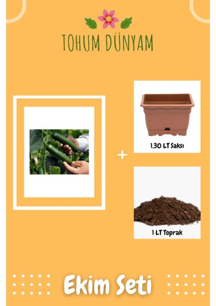 Çok Erkenci Nadir Salatalık Tohumu Ekim Seti