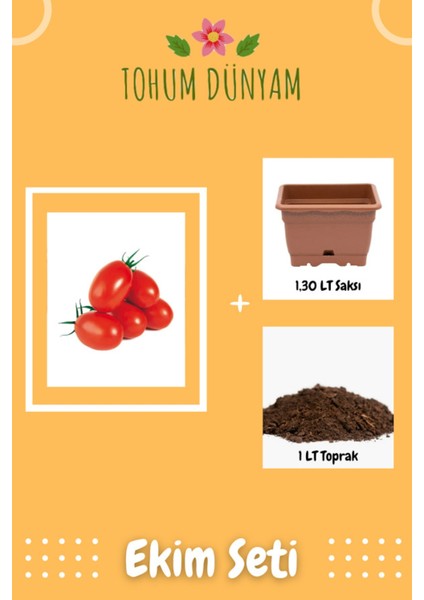 Saksılık Zeytin Domates Tohumu Ekim Seti