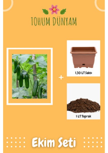 Erkenci Yediveren Hıyar Tohumu Ekim Seti