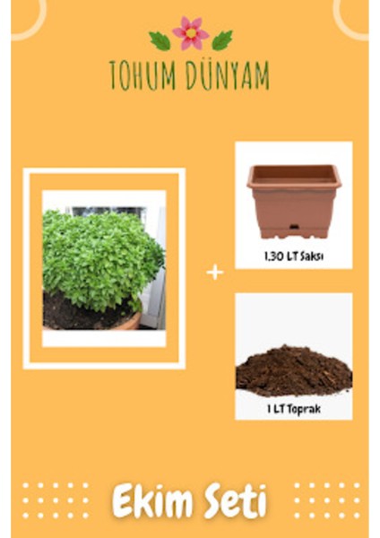 Top Reyhan Tohumu Ekim Seti