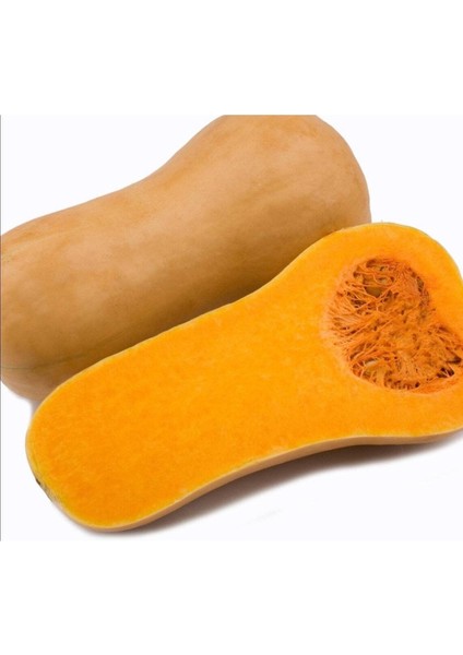 5 Adet Pumpkin Butternut Sweet Bal Kabağı Tohumu