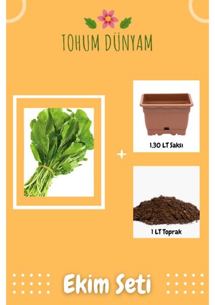 Tatlı Roka Tohumu Ekim Seti