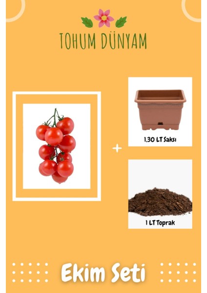 Erkenci Beşdeli Salkım Domates Tohumu Ekim Seti