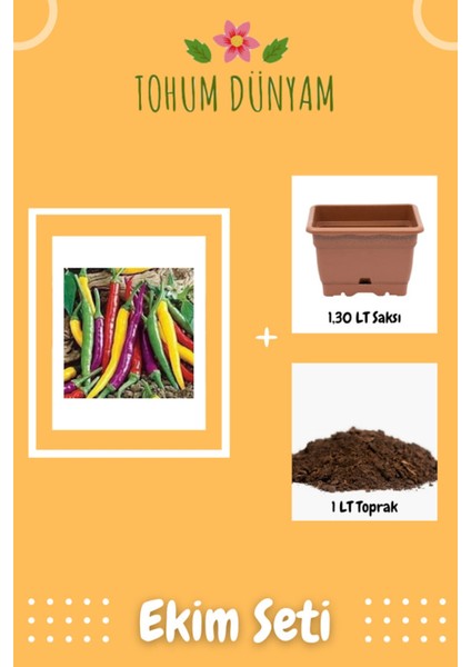 Nadir Ithal Rengarenk Acı Biber Tohumu Ekim Seti