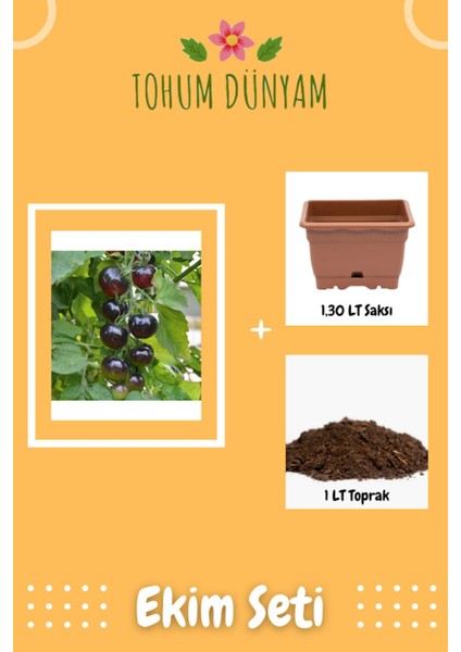 Siyah Domates Tohumu Ekim Seti