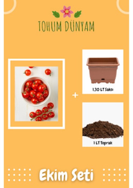 Doğal Kahvaltılık Chery Domates Tohumu Ekim Seti