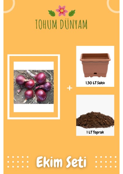 Yerli Mor Soğan Tohumu Ekim Seti
