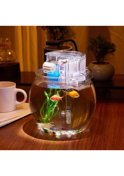 Jeneca Yg-29 Mika Fanus Akvaryum Seti 29X29X27 cm – Modern Tasarım, LED Işıklı ve Filtreli
