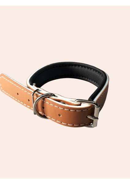 Deri Orta-Büyük Irk Köpek Tasması