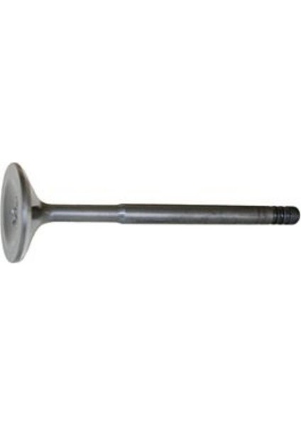 Audi Seat 1.9 2.5 Tdı 1993 2013 Subap Egzoz Valfi 5 Li Set