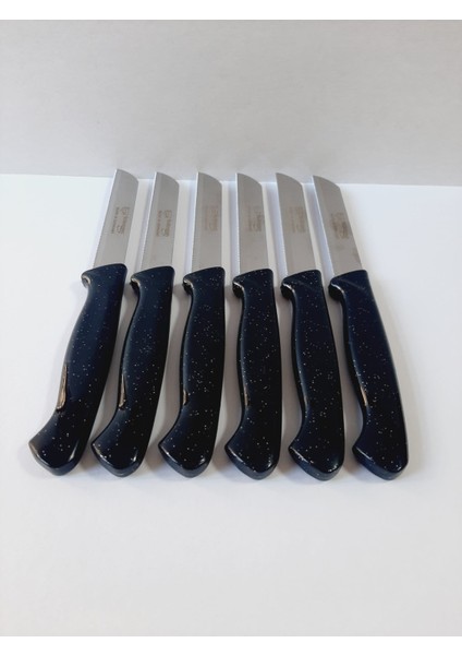 Meyve Bıçağı - Simli Siyah fırsatları