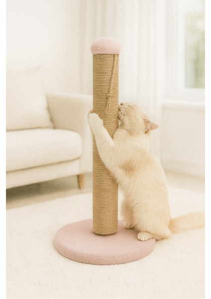 Pet Yuvarlak Kedi Tırmalama Platformu Pembe fiyatları