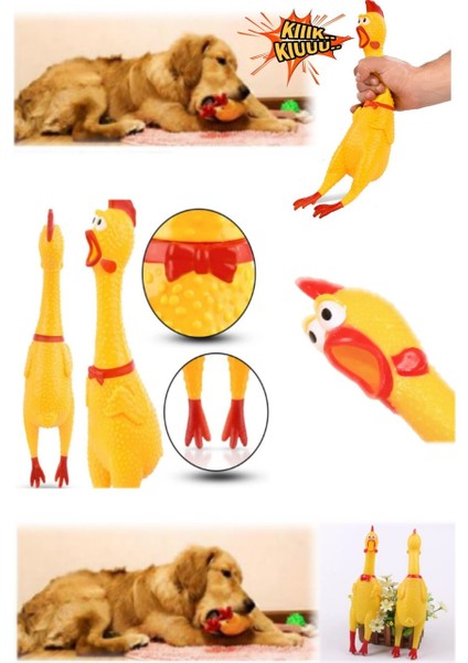 Sesli Horoz Köpek Oyuncağı