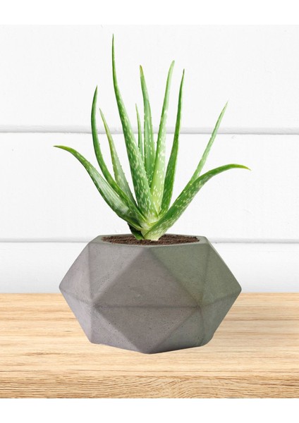 Altıgen Dekoratif Döküm Beton Saksı 16X17 cm fırsatları