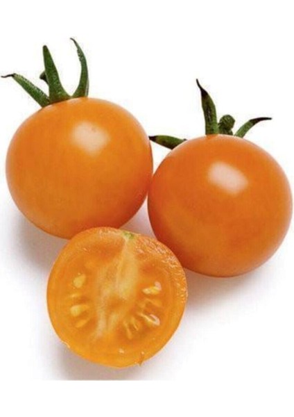 Ithal Nadit Cherry Turuncu Domates Tohumu 10 Adet Tohum
