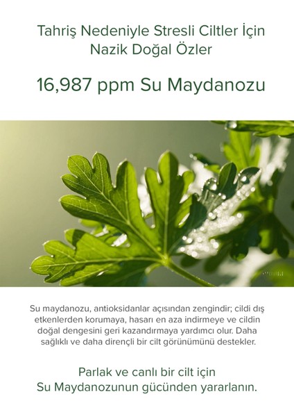 Su Maydanozu Gözenek Pedi 60 Adet Gözenek Bakımı Niacinamide,salisilik,bitkisel Özler indirimleri
