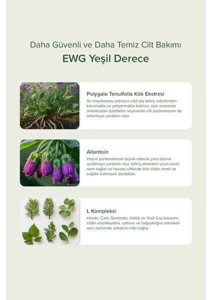 Su Maydanozu Gözenek Pedi 60 Adet Gözenek Bakımı Niacinamide,salisilik,bitkisel Özler