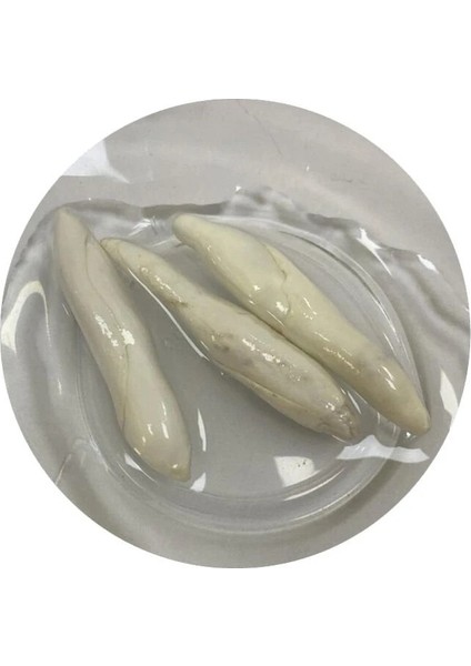 Organik Doğal Kenger Sakızı Tane