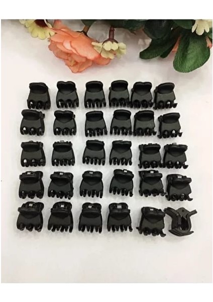 Küçük Siyah Mandal Toka Saç Tokası 20 Adet fiyatları