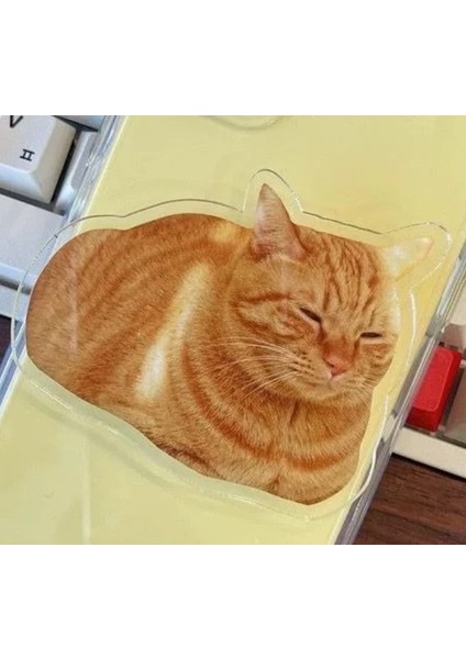 Uykucu Sarı Kedi Figürlü 3m Yapıştırmalı Cep Telefonu Tutacağı Popsocket